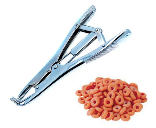 Castration pliers with 100 - with,