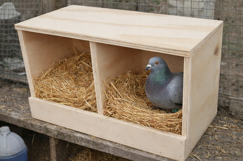 Wooden pigeon nesting - wooden,