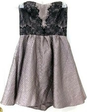 ASTR Skater Dress Metallic Taupe Lace Bodice Mini Length Shiny Textured Zip S