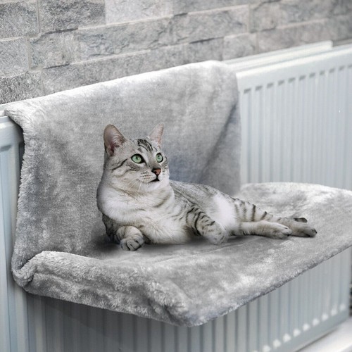 Cat kitten hanging radiator - hanging,