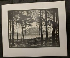 M.C. Escher - Pineta de Calvi