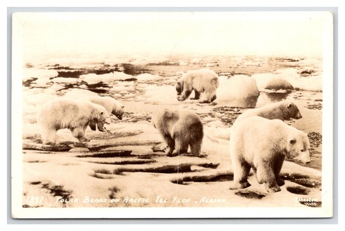 Alaska anchorage polar - ak, ~