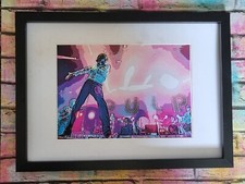 Pulp Jarvis Cocker Reunion