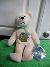 New Holy Bears Celebration