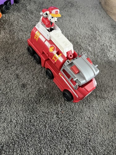 Paw patrol big - big, pups