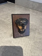 Rottweiler  Ornament Head