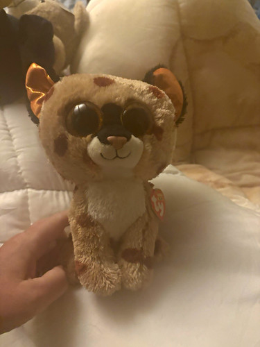 Beanie boo cat - ty,