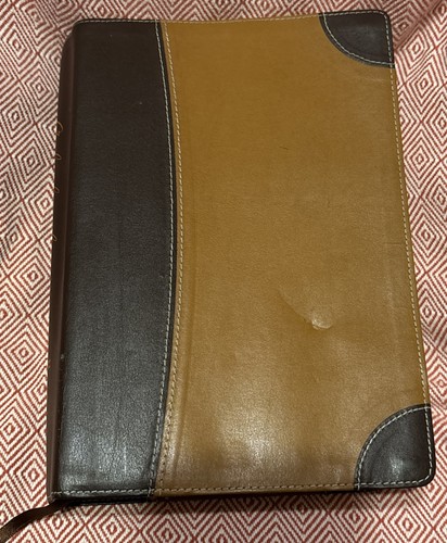 Niv archaeological study bible - study,