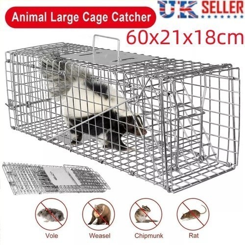 Extra large animal - large,