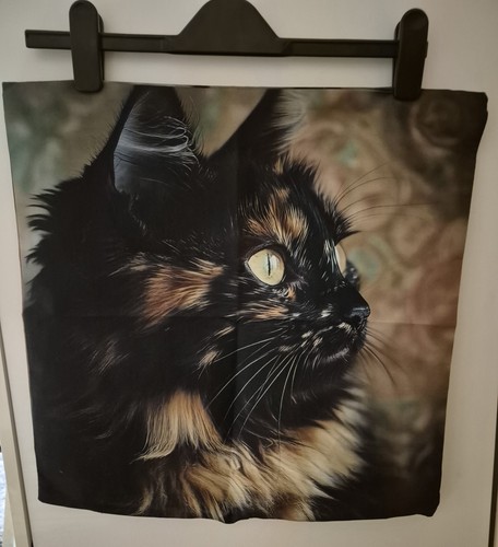 Double sided tortoiseshell - tortoiseshell, cat