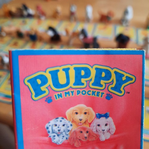 Puppy pocket 1995 pick - puppy,