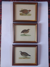 Set of 3 framed antique GAME