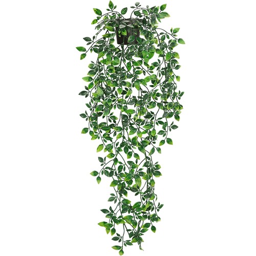 Der rose fake hanging - fake,