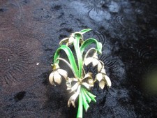 VINTAGE EXQUISITE SNOWDROP  50'S/60'S  SIGNED BROOCH #11