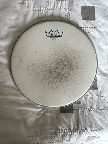 Remo ambassador coated - ambassador,