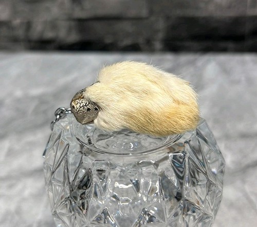 Lucky rabbit foot keychain - lucky,