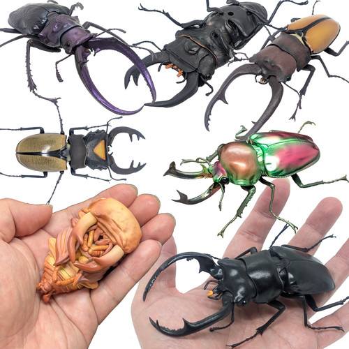 Bandai gashapon stag beetle - bandai,