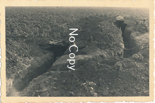 Photo ww2 military barbarossa - photo, military: