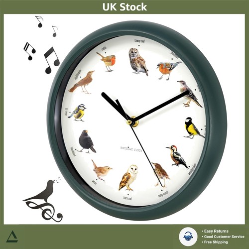 Nature symphony singing bird - nature's,