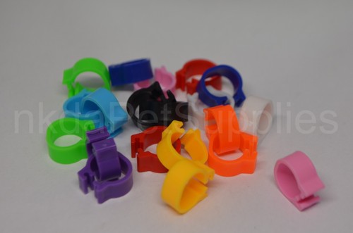 Pigeon leg bands rings - pigeon,