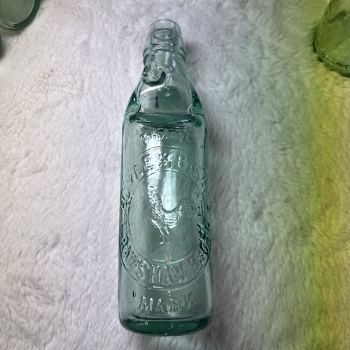 Antique hoyle bishop codd - hoyle,