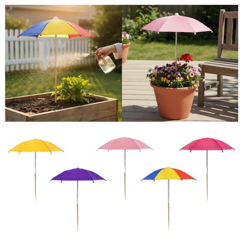 Patio plant umbrella sun - plant,