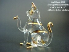 Beautiful Animal Cute Stripy