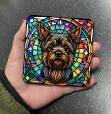 Stunning Yorkshire Terrier Dog