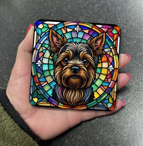 Stunning yorkshire terrier dog - stunning,