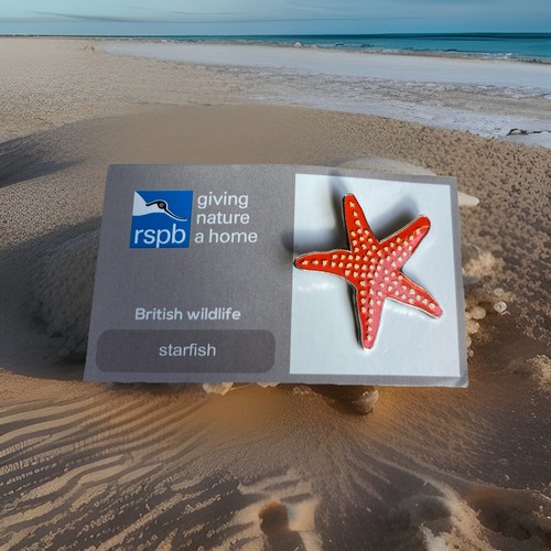 Rspb pin badge - starfish,