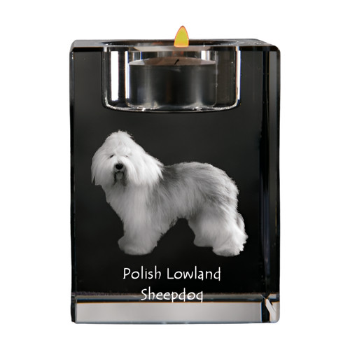 Polish lowland sheepdog pon - polish, sheepdog,