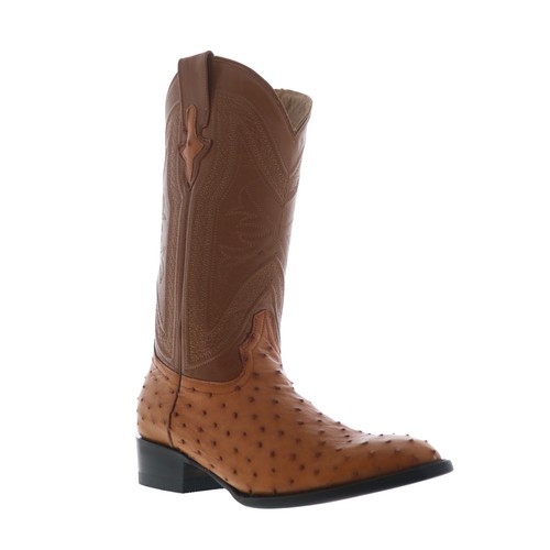 Ferrini full quill ostrich - quill,