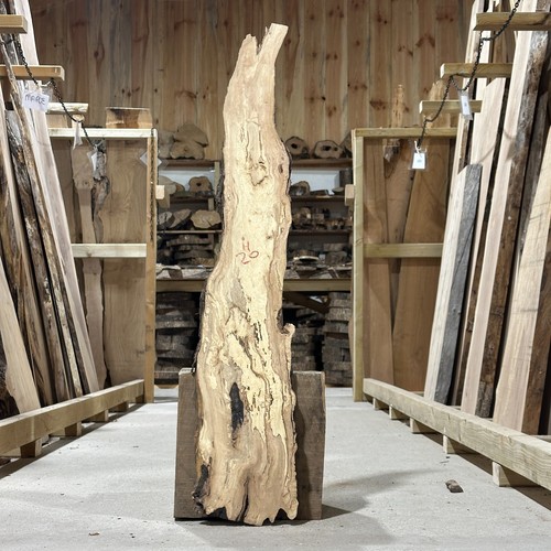Hornbeam plank board waney - hornbeam,