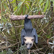 Vivid Arts Hanging Fruit Bat