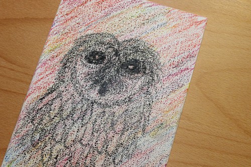 Owl canvas art pastel - 5, x