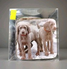 Cup & Coaster Set Of A Group