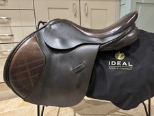 16.5” ideal Nyala GP / Jump