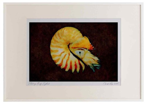 427048 the chambered - the,