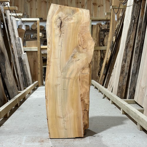 Cedar wood plank board - cedar,
