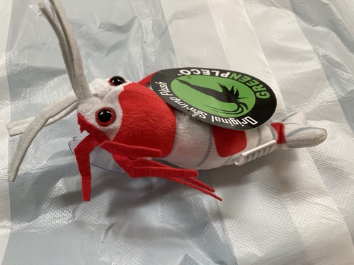 New crystal red shrimp - crystal,
