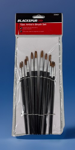 12pc artist paint brushes - 12pc,