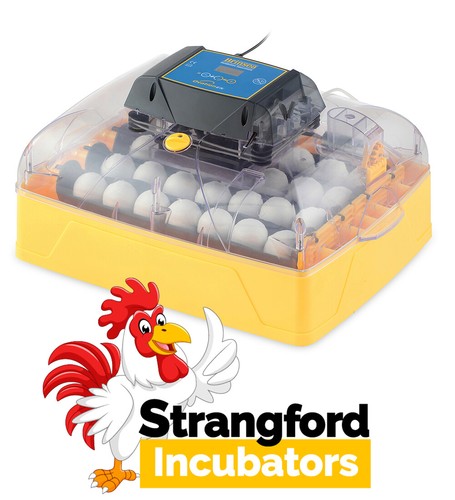 Brinsea ovation ex - brinsea,
