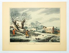 Orme's Collection Snipe