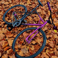 Custom Fixed Gear Bike –