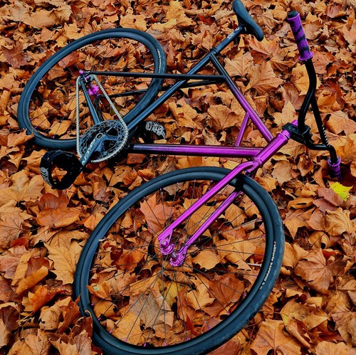 Custom fixed gear - gear, –