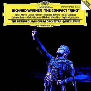 Wagner the compact ring - the,