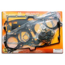 Complete Engine Gasket Rebuild