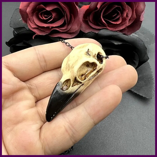 Raven skull necklace resin - 3d,