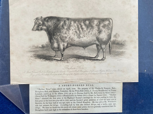 1845 antique print - 1845, hero