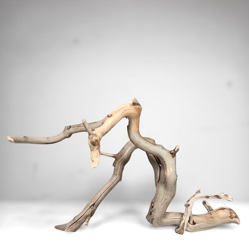 Manzanita driftwood for - 18",
